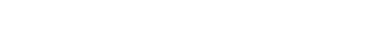 logo99.png